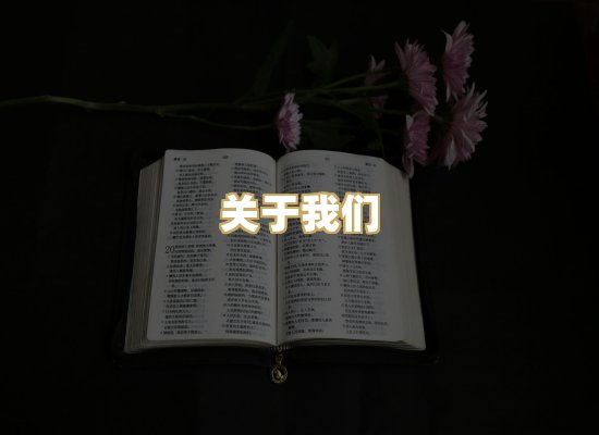关于我们